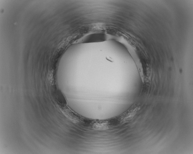 X0000069390560200606021634