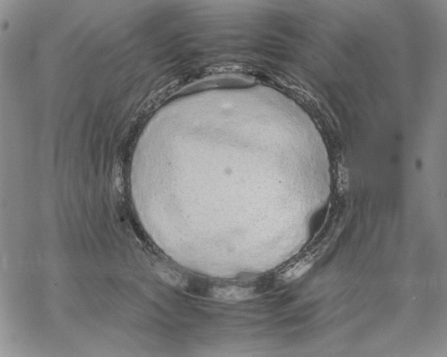 X0000069390561200606021634