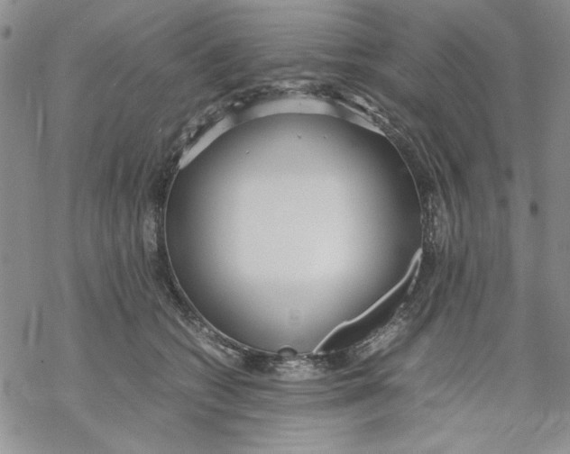 X0000069390562200606021634