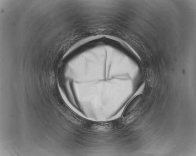 X0000069390563200606021634