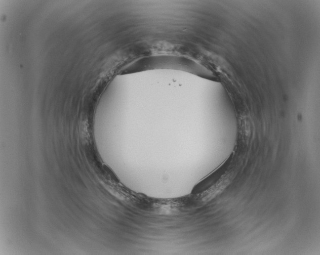 X0000069390564200606021634