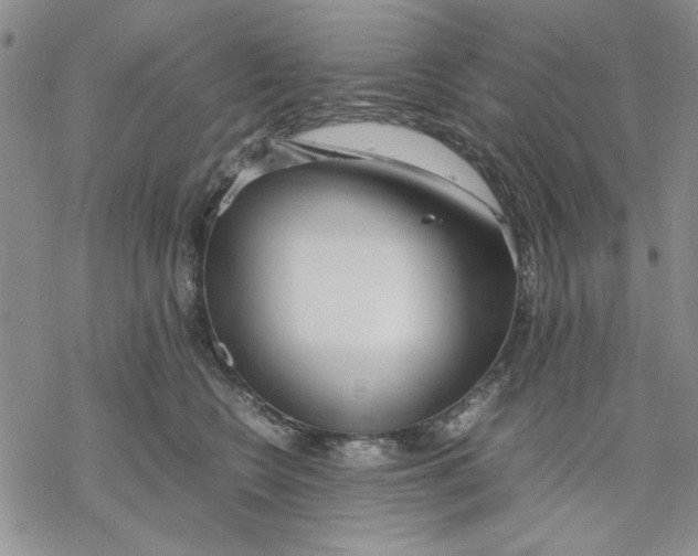 X0000069390566200606021634