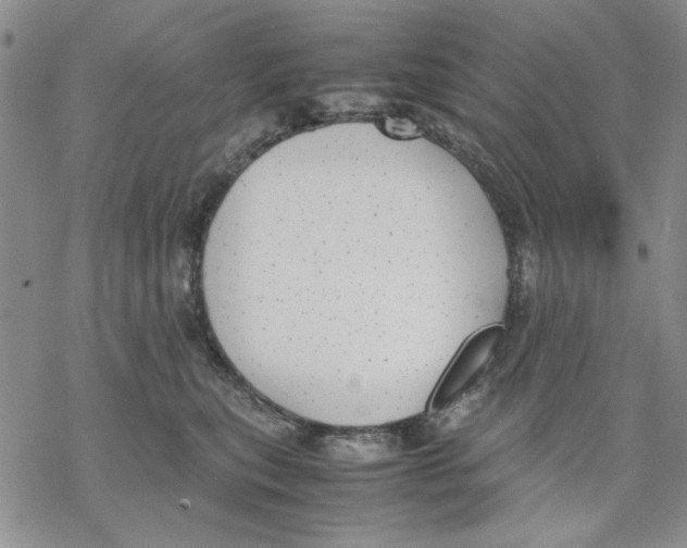 X0000069390567200606021635