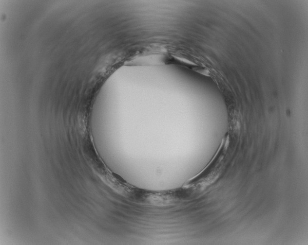 X0000069390568200606021635