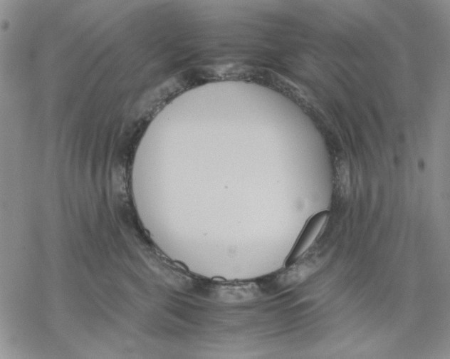 X0000069390571200606021635