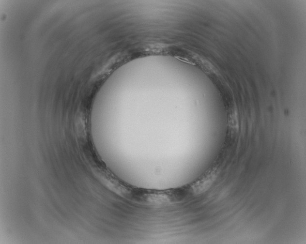 X0000069390572200606021635