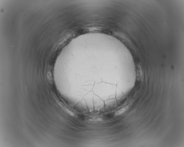 X0000069390573200606021635