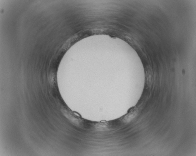 X0000069390574200606021635