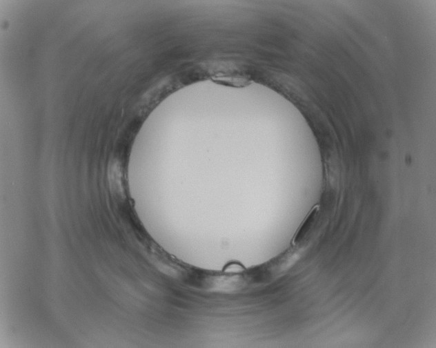 X0000069390575200606021635