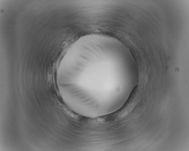 X0000069390576200606021635