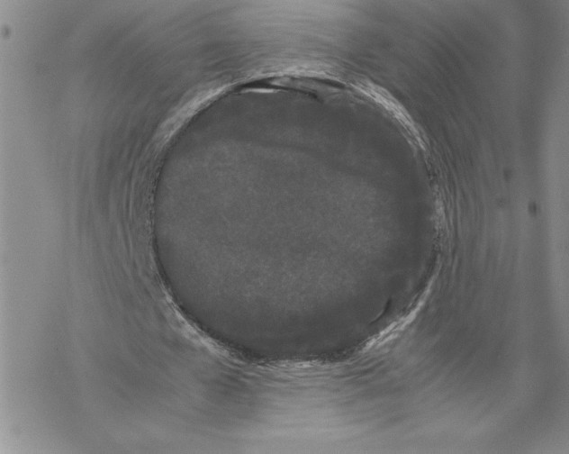 X0000069390577200606021634