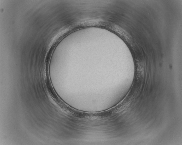 X0000069390582200606021634