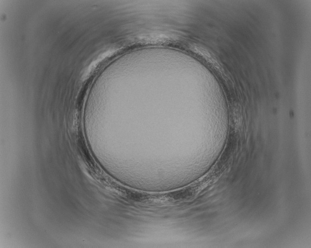 X0000069390583200606021634