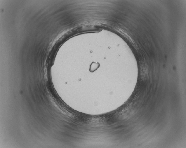 X0000069390584200606021634