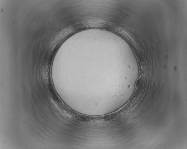 X0000069390586200606021634