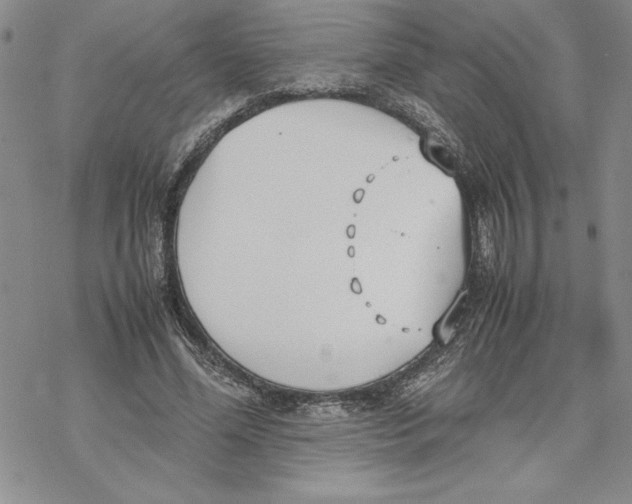 X0000069390588200606021634