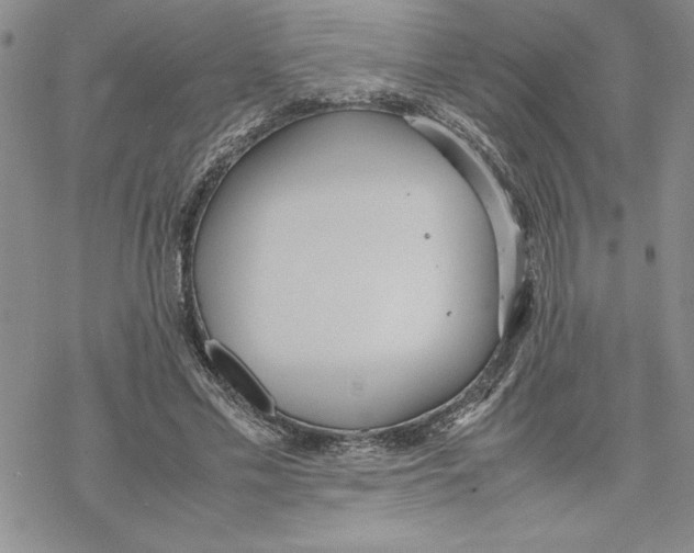 X0000069390589200606021634