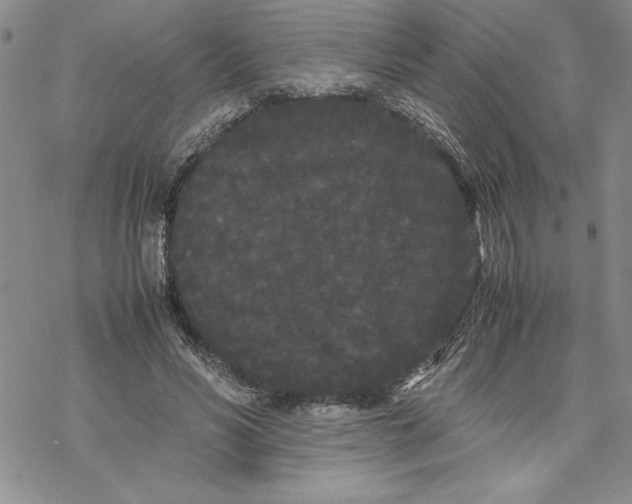 X0000069390590200606021634