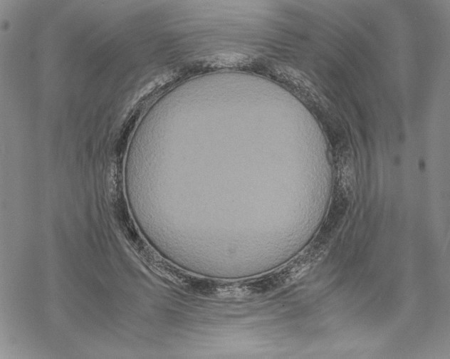 X0000069390591200606021634