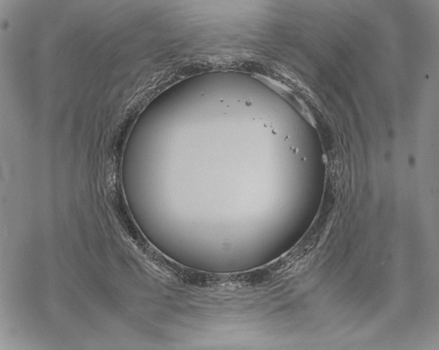 X0000069390593200606021634