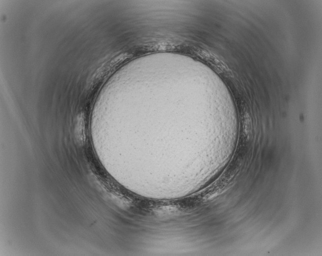 X0000069390594200606021634