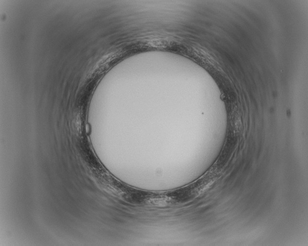 X0000069390595200606021634