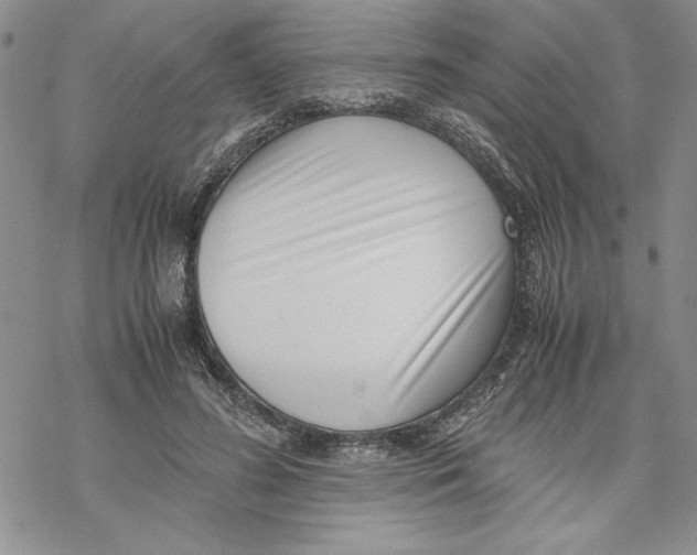 X0000069390596200606021634