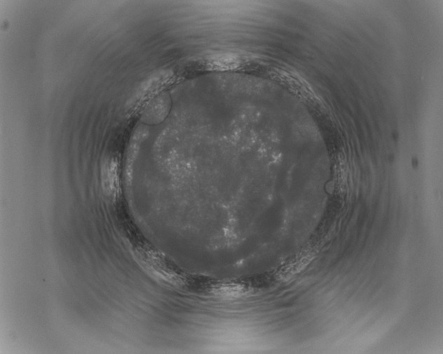 X0000069390598200606021633