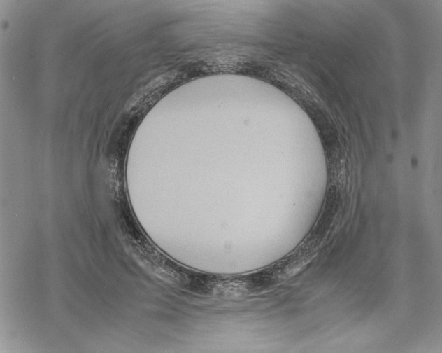 X0000069390599200606021633