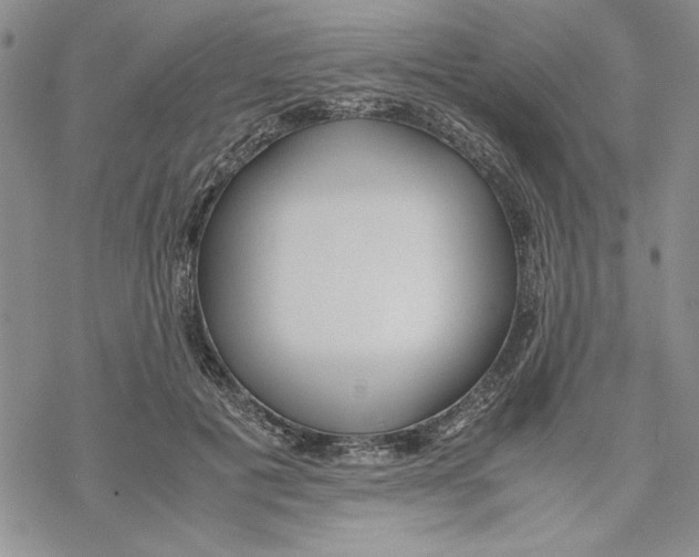 X0000069390601200606021633