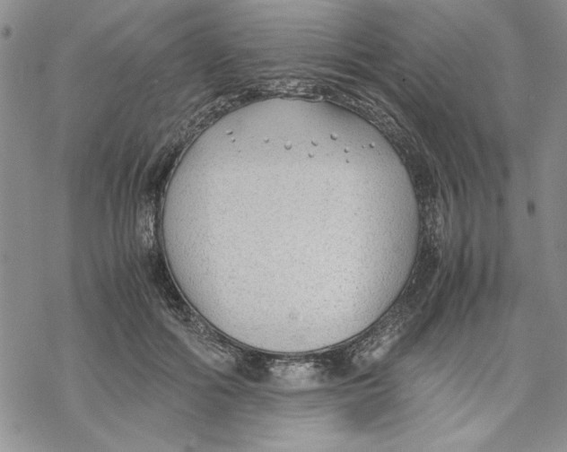 X0000069390602200606021633