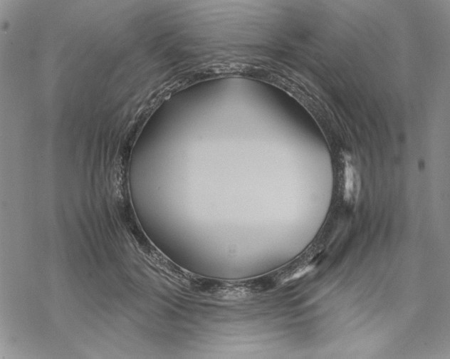 X0000069390604200606021633