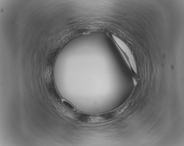 X0000069390605200606021633