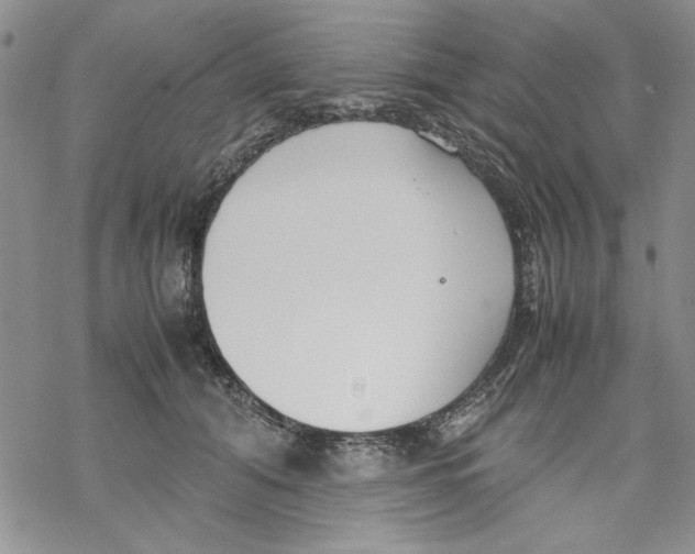 X0000069390608200606021633