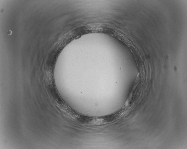 X0000069390609200606021633