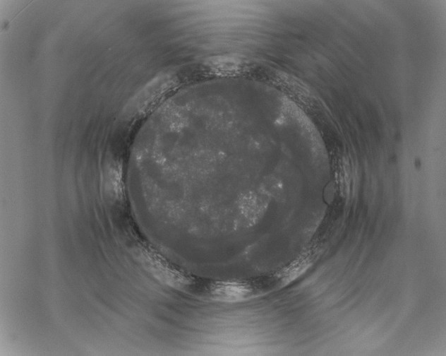 X0000069390610200606021633