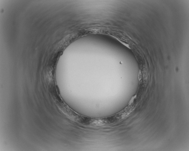 X0000069390611200606021633