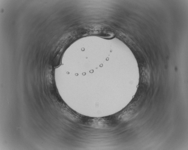 X0000069390612200606021633