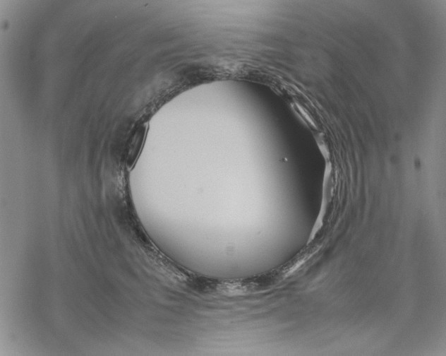 X0000069390613200606021633