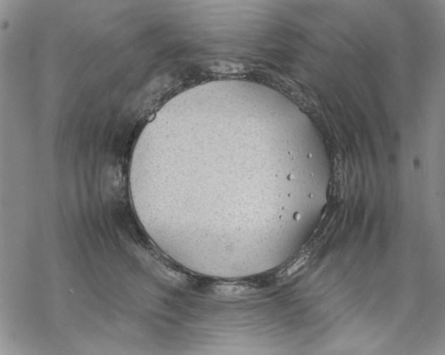 X0000069390614200606021633