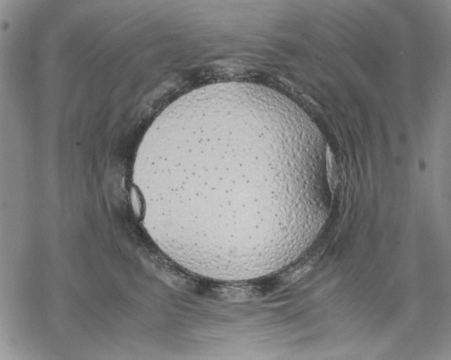 X0000069390615200606021633