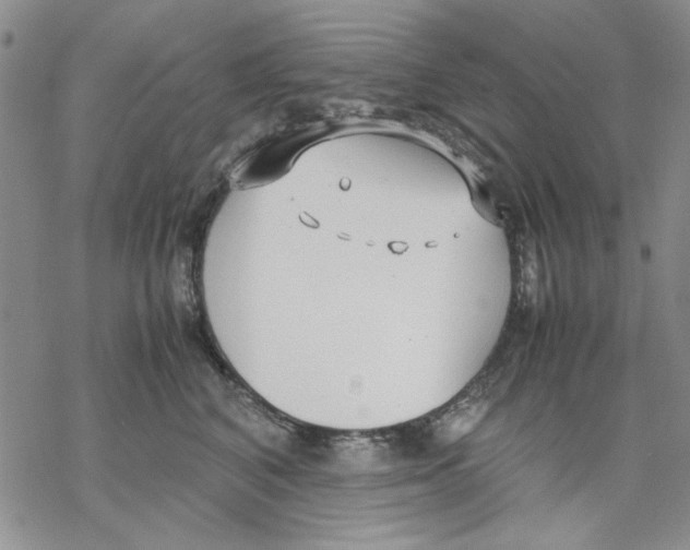 X0000069390616200606021633