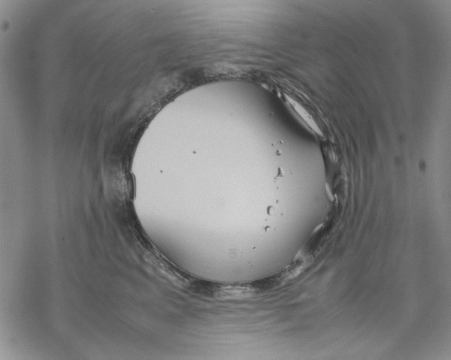 X0000069390617200606021633