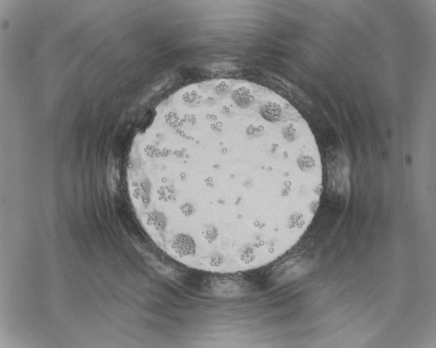 X0000069390618200606021633