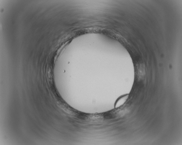 X0000069390619200606021633