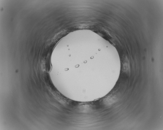 X0000069390620200606021633