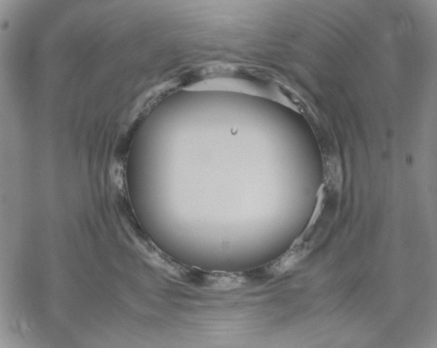 X0000069390621200606021633