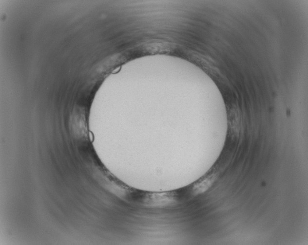 X0000069390622200606021633