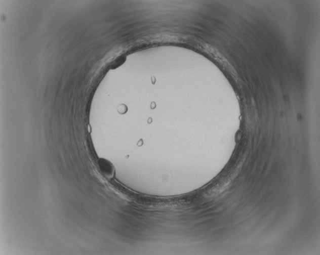 X0000069390625200606021632