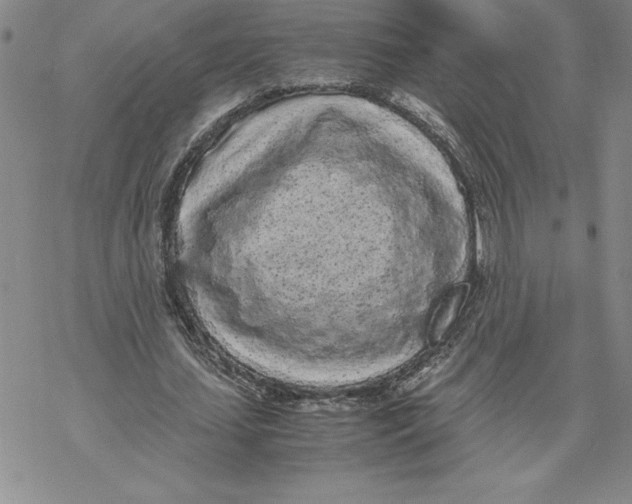 X0000069390627200606021632